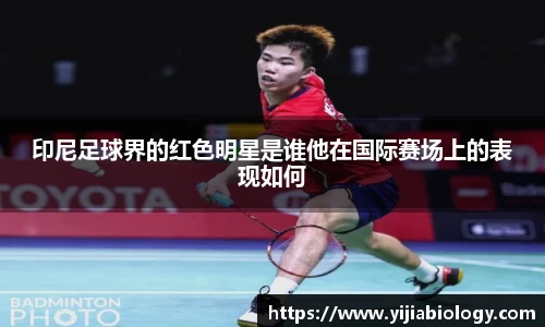 印尼足球界的红色明星是谁他在国际赛场上的表现如何