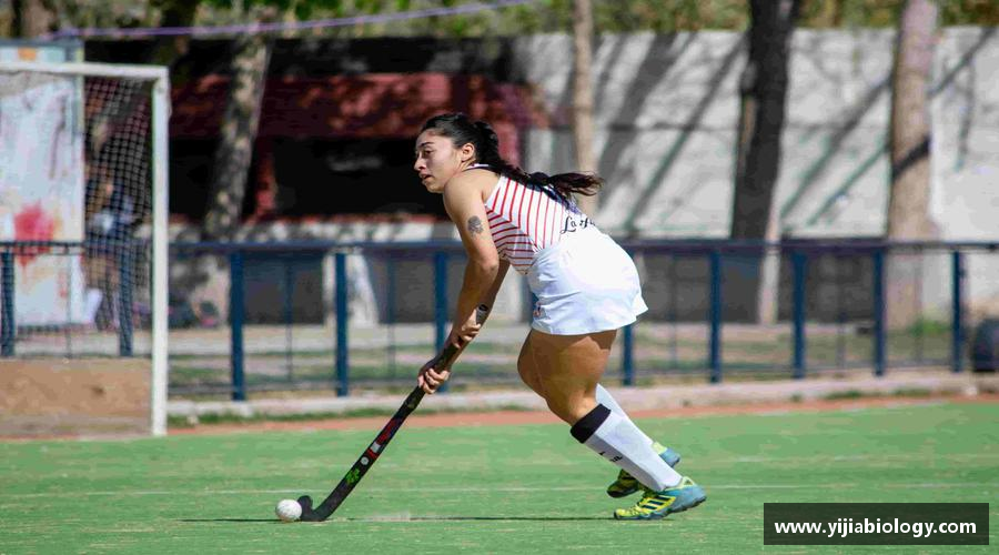 hth华体会官网挑战自我，突破极限